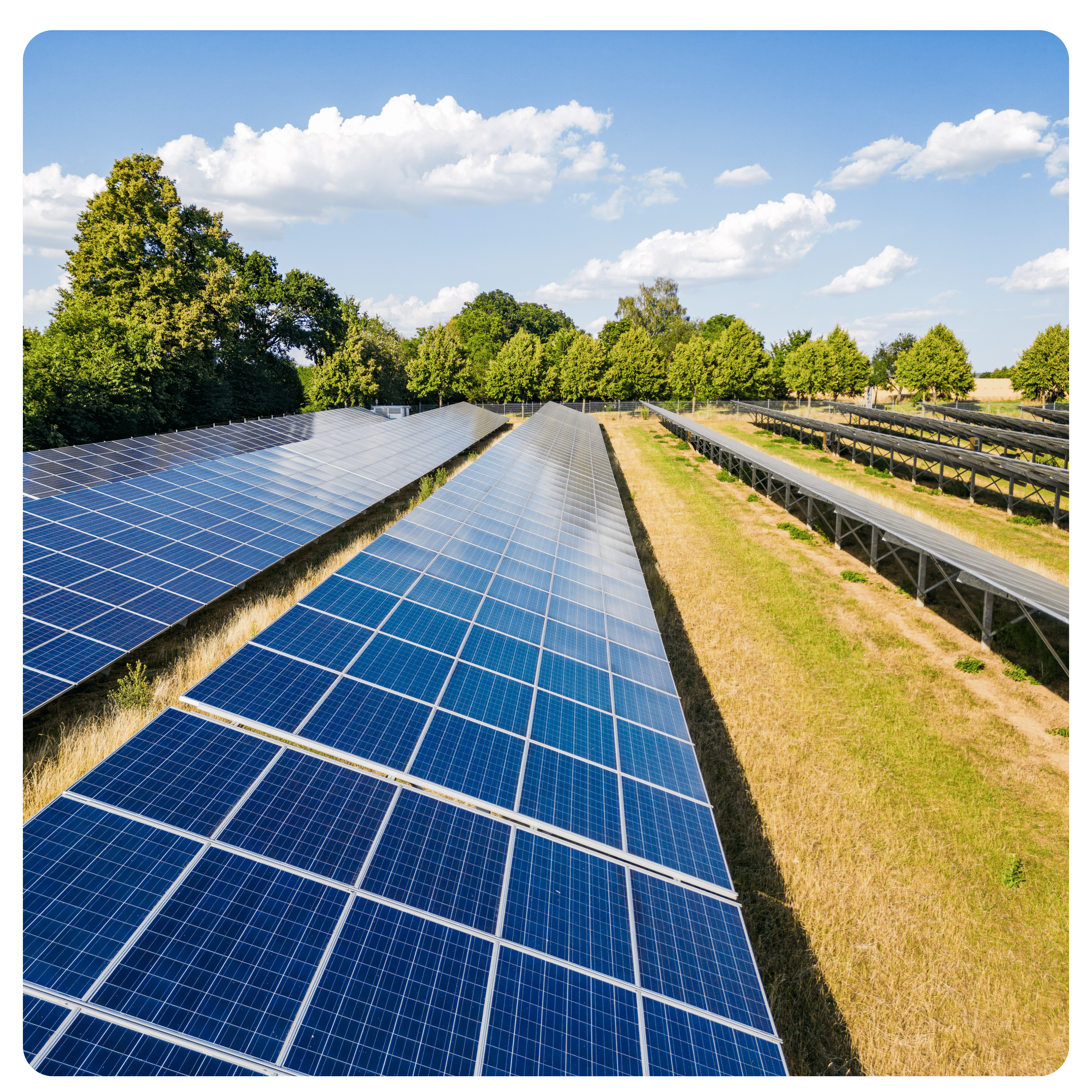 Usinas de Investimento